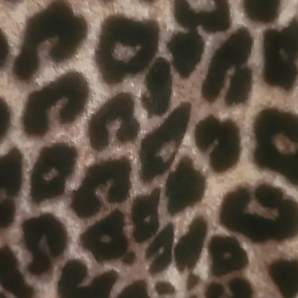 Torrid Leopard Long Sleeve Raglan Sweatshirt Size 1/14 - Picture 5 of 8